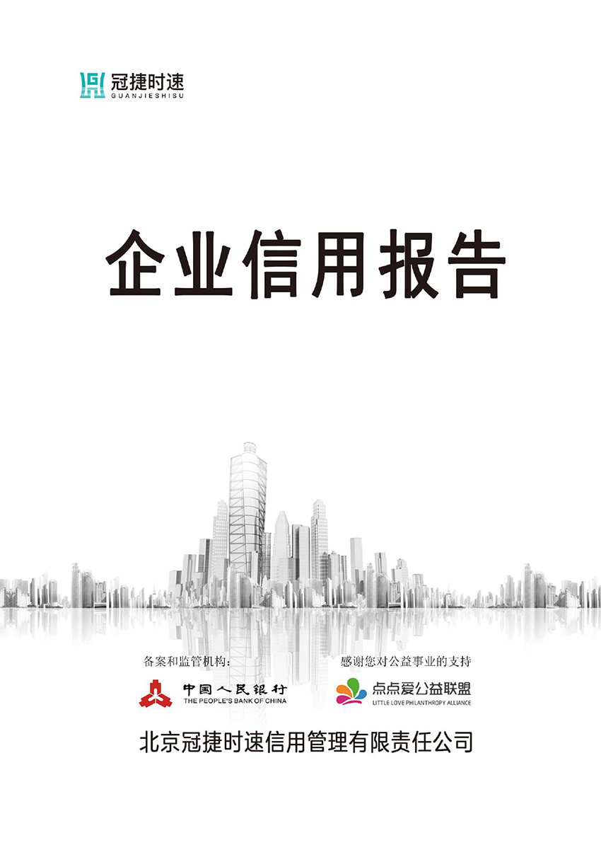 天長市宏偉儀表有限公司-信用報(bào)告0000.jpg